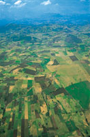 Mosaico agrcola en el altiplano de Tunja, donde predomina el cultivo intensivo de la papa.