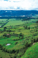 Haciendas del altiplano dedicadas a la ganadera.