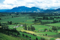 Hacia el flanco nororiental de la Sabana de Bogot est el Valle de Sop, cuyos pastos mejorados son ideales para la ganadera.