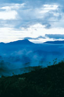 Los altiplanos estn estrechamente relacionados con su sistema orogrfico perifrico; al oriente del altiplano Sabana de Bogot, el macizo de Chingaza captura la humedad procedente de la Orinoquia y es una de las fuentes hdricas importantes para la capit