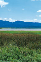 La laguna de Fquene es la ms grande de la planicie aluvial del valle de Ubat y Chiquinquir. Sin embargo, con el paso del tiempo las plantas acuticas han reducido el espejo de agua.