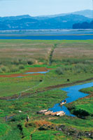 Los campesinos y pescadores que habitan cerca de la laguna de Fquene aprovechan los recursos que sta les ofrece, como peces y agua para el riego de sus cultivos.