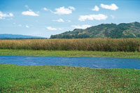 La laguna de Fquene tiene en su periferia un sistema de canales de drenaje con fines agrcolas y ganaderos, en los que tambin ha crecido una abundante vegetacin de plantas acuticas.