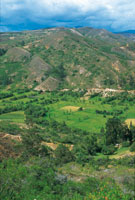 El altiplano de Samac, una antigua laguna, se dedica al cultivo intensivo de papa y cebolla y conserva en las laderas adyacentes una rica vegetacin, pastizales y matorrales en un ambiente seco.