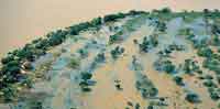 rboles dispersos en llanura de inundacin del ro Meta.