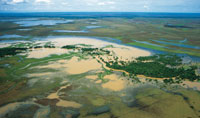 Llanura de inundacin con aporte de sedimentos de origen andino.
