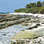 <strong>Litoral rocoso en el sector suroriental de San Andrés.</strong>Fotografía: Angélica Montes Arango