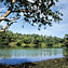 <strong>The Pond, único humedal de agua dulce en el sector de La Loma, donde aún se observa la vegetación nativa de la isla.</strong>Fotografía: Archivo iM Editores