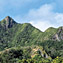 <strong>Panorámica de los bosques achaparrados de las laderas de barlovento, sector de El Peak, en Providencia.</strong>Fotografía: Camilo Gómez Durán