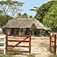 <strong>Vivienda rural típica de las sabanas de Córdoba y Sucre.</strong>Fotografía: Archivo iM Editores