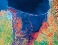 Imagen de satlite del plano deltaico del ro Magdalena con el complejo laguno-estuarino de la Cinaga Grande de Santa Marta; el color rojo oscuro corresponde a reas cubiertas por manglares.