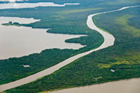 El frente deltaico del ro Atrato forma una costa irregular bordeada por manglares y terrenos pantanosos.