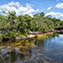 <strong>Los ríos de aguas claras nacen en las zonas altas del Escudo Guayanés o en la altillanura del oriente colombiano y discurren a través de formaciones rocosas y sabanas arenosas. Caño Cristales, serranía de La Macarena.</strong>Fotografía: Archivo iM Editores