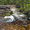 <strong>Los arroyos que nacen en las zonas altas y medias de las serranías y mesetas rocosas de la Guayana colombiana presentan una coloración rojiza, debida a la descomposición de los taninos de la vegetación.</strong>Fotografía: Archivo iM Editores