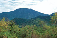 La continuidad que hay entre los bosques secos costeros y las selvas subhmedas y hmedas del pidedemonte de la Sierra Nevada de Santa Marta, es de gran importancia para la existencia de la biodiversidad en la regin.