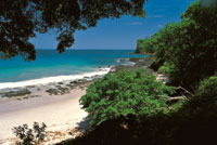 En la costa Pacfica del norte de Costa Rica -Parque Nacional Santa Rosa, provincia de Guanacaste- se encuentran los ltimos relictos bien conservados de bosque seco tropical de Amrica Central.