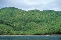 El mismo sector durante el mes de enero.