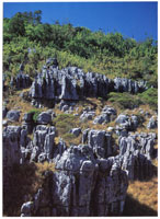 Suelos con conos denudativos, formaciones que tambin aparecen en el sector venezolano de la serrana.