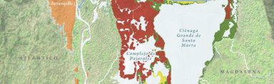 Situación de las coberturas vegetales en el complejo laguno-estuarino de la Ciénaga Grande de Santa Marta en 1995, luego de la mortandad masiva de manglares como consecuencia de la construcción de infraestructura vial. (Modificado de Cadavid et al., 2011).